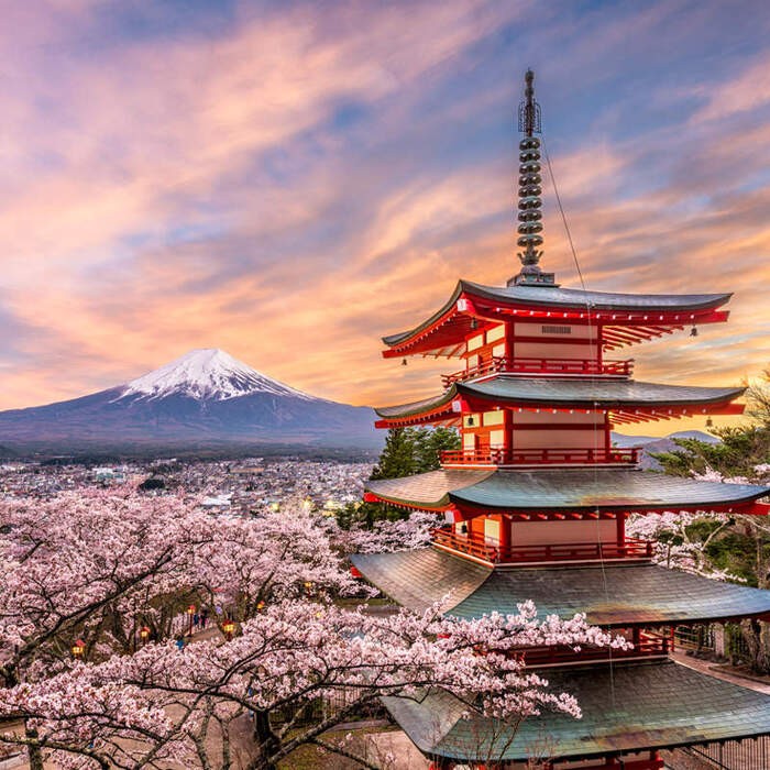 Japón 